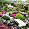 Японски тематични градински растения
