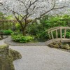 Японски дзен градина заден двор