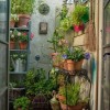 Малко пространство балкон градинарство