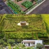 Зеленчукова градина дизайн идеи малки градини