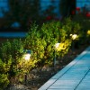 Идеи за осветление на градинско дърво