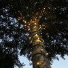 Външни светлини за дърво