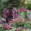 Красиви градини и къщи с цветя