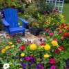 Снимки на цветни градини в задния двор