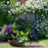 Малка английска градина дизайн снимки