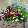 Идеи за цветя в контейнери