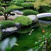 Невероятно градинско езерце
