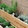Градински идеи за градина с билки