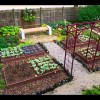 Дизайн на зеленчукова градина в задния двор
