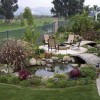 Идеи за водна градина в задния двор