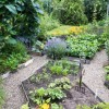 Красива зеленчукова градина дизайн