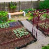 Създаване на зеленчукова градина