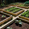 Дизайн за зеленчукови градини