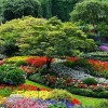 Идеи за флорални пейзажи