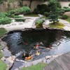 Градина кой езерце дизайн