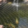 Градина езерце мрежа