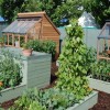Билкова и зеленчукова градина дизайн