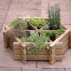Идеи за билкова градина