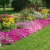 Идеи за цветни градини