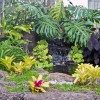 Идеи за озеленяване Хавай