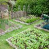 Идеи за органичен дизайн на градината