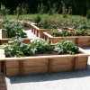 Идеи за зеленчукова градина На открито