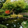 Езерце и градина