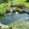Езерце градина