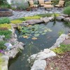 Езерце в задния двор