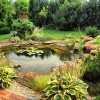 Езерце в градината