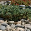 Речни скални камъни за озеленяване
