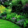 Идеи за сенчести градини