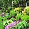 Идеи за дизайн на храстова градина