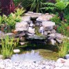 Малки градински идеи за дизайн на езерце