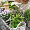 Малки идеи за градински дизайн на билки