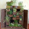 Идеи за малка градина с билки