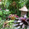 Блог за тропическа градина