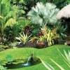 Тропически градински дизайн изображения