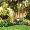 Идеи за тропическа градина снимки