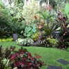 Тропическа градина снимки