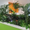 Дизайн на тропически растения