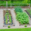 Зеленчукова градина легла