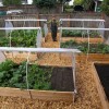 Идеи и дизайн за зеленчукова градина