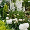 Бяла цветна градина дизайн