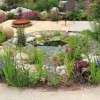 Дива природа градина езерце дизайн